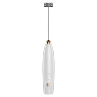 Mousseur à lait électrique portable en acier inoxydable, sans fil, rechargeable par USB Type-C, OEM, pour café, automatique