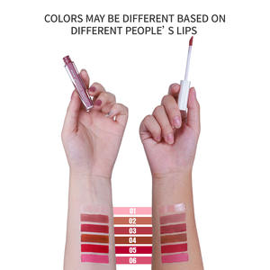 Rouge à lèvres liquide mat OEM professionnel populaire 6 couleurs rouge à lèvres de marque privée rouge à lèvres cosmétique de luxe brillant à lèvres - Product Image 6