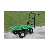 Mini-dumper électrique ANT EBY200 à 3 roues avec composants essentiels (roulements et engrenages) et batterie au plomb verte