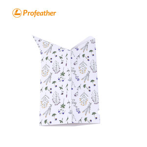 Sang Trọng Món Quà Nhỏ Bao Bì Gối Hộp Tùy Chỉnh In Cao cấp Giấy Hộp Quà Tặng Với Dập Nổi Matt Cán Miếng Bọt Biển Lót - Product Image 5