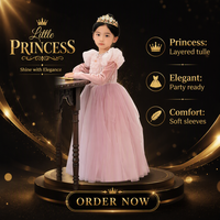 Robe longue de princesse rose pour enfants avec manches longues et tissu transparent, robe de soirée, robe de fête d'anniversaire, ensemble de robes pour filles