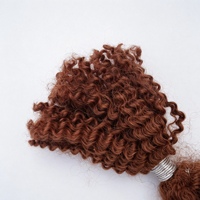 # 33 Extensions de cheveux humains 100% indiens Afro Kinky en vrac pour tresses bouclées, micro-tresses et dreadlocks, vente en gros pour salons