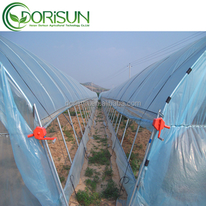 Venta al por mayor Best Seller <span class=keywords><strong>verduras</strong></span> cultivo aro casa verde Túnel de un solo tramo invernadero de plástico con fresa - Product Image 6