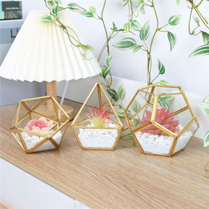 DIY Miniature Verre Géométrique <span class=keywords><strong>Terrarium</strong></span> En Pot Réaliste Artificielle Succulente pour Home Office Décoration de Mariage - Product Image 2