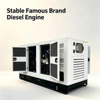 Générateur diesel silencieux 20 KVA avec certificat CE ISO, générateur de marque chinoise, générateur diesel économique