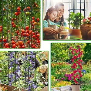 Enrejado de jardín, jaulas y Soportes para plantas 2 en 1 para cultivos de vides, plantas en macetas/trepadoras para interiores y exteriores, estaca para plantas para flores - Product Image 5