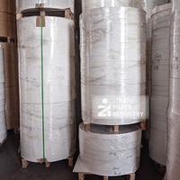 Gobelets et bols en papier spécial enduits de PE biodégradable et imperméable, impression offset, pâte de bois vierge
