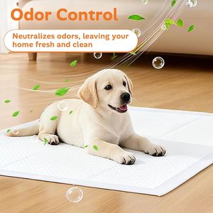 Tapis d'entraînement pour chien jetable personnalisé, 90% biodégradable, 6 couches, avec film PLA anti-fuite - Product Image 5