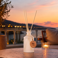 Diffuseur de parfum d'ambiance en verre de style zen minimaliste de luxe, ensemble d'aromathérapie, diffuseur à bâtonnets aromatiques