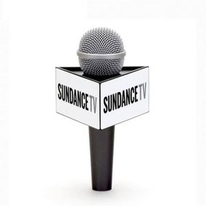 Cubierta de Micrófono OEM ODM con Logotipo Personalizado para Soporte de Micrófono, Impresión de Logotipo Personalizado - Product Image 2