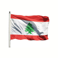 Drapeau publicitaire économique de la marque TOTEM, 3x5 pieds, promotionnel, drapeau national personnalisé en polyester avec mât en aluminium, drapeau de la Syrie