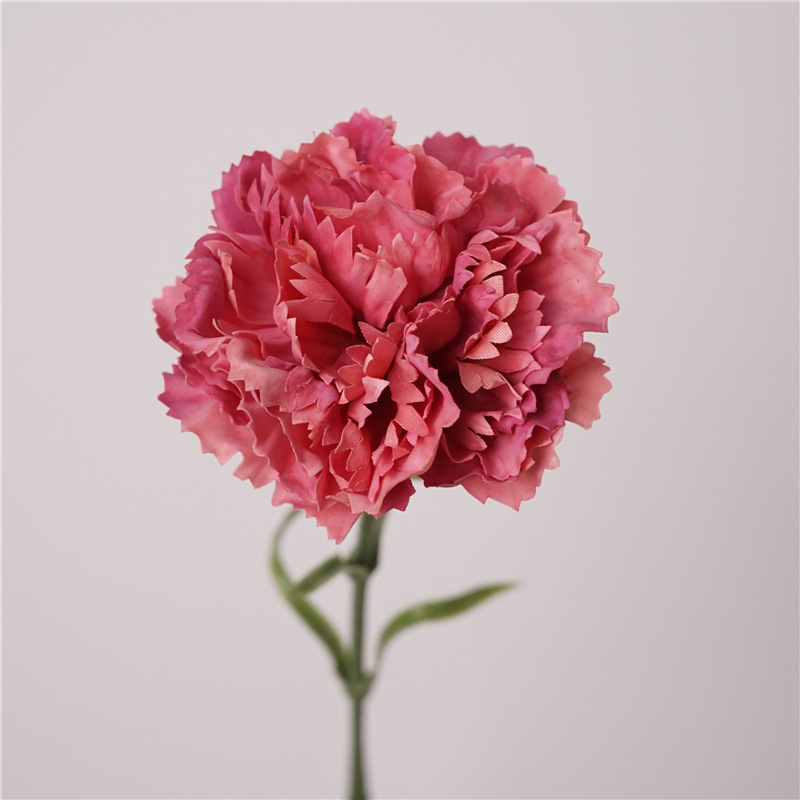 Feel carnation-vermilion