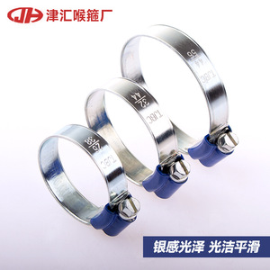 Colliers de serrage pour tuyaux Tianjin Baocheng Blue Ribbon, en fer galvanisé, 26-38 mm, pour la réparation de conduites d'eau - Product Image 2