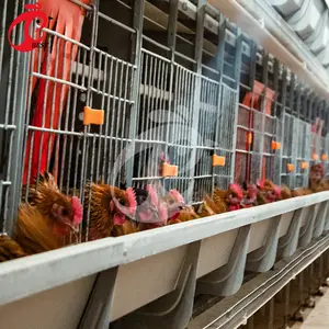 High Quality Hot Dipped Galvanized Layer Poultry Chicken Cage