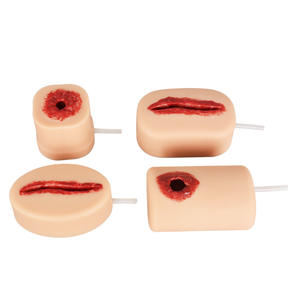 Modèle d'entraînement à l'hémostase <span class=keywords><strong>des</strong></span> plaies traumatiques - Simulateur réaliste de plaie saignante pour <span class=keywords><strong>la</strong></span> <span class=keywords><strong>formation</strong></span> en urgence médicale - Product Image 1