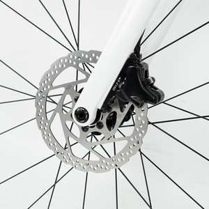 Vélo de gravier haute performance en aluminium léger 700c, frein à disque, axe traversant, câblage interne, patte de dérivation UDH, pneus 38c, 10,3 kg - Product Image 5