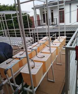 نظام ري بذور الطماطم للمزارع دلاء في الدفيئة المائية - Product Image 6