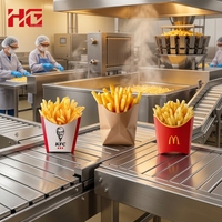 Nouvelle Ligne de Friture Automatique de Frites et Chips de Pommes de Terre Haute Efficacité 300kg/h, Mélangeur Commercial pour la Transformation de la Farine et des Snacks, Moulin à Riz