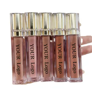 Tàn Ác Miễn Phí Lipgloss Chất Lượng Cao Không Thấm Nước Mỹ Phẩm Sexy Thời Trang Hữu Cơ Chất Lỏng Matte Son Môi Nhãn Hiệu Riêng