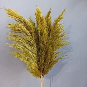 Hierba de pampas pequeña de colores de alta calidad al por mayor para decoraciones de bodas y materiales florales de floristería - Product Image 4