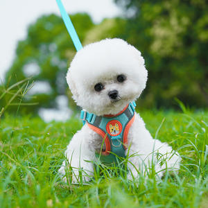 Chaleco transpirable para caminar en el pecho y la espalda de Pomerania para perros pequeños con cadena de cuerda de tracción para perros, estilo Simple para caminar gatos - Product Image 3