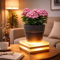 Lampe de sol moderne à LED pour plantes, support en bois pour pot de fleurs, lampe de bureau pour éclairage d'ambiance intérieur