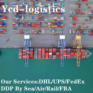 1 detector Shenzhen COSCO Shipping LCL Freight Forwarding Cheapest DDP Ocean Express Door to Door Poland FBA Warehouse