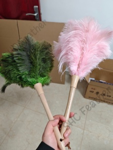Plumeau en plumes d'autruche teintes <span class=keywords><strong>de</strong></span> haute qualité, directement <span class=keywords><strong>de</strong></span> l'usine, pour le nettoyage des meubles, des voitures et des équipements électriques. - Product Image 3