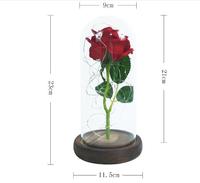 Nouvelle conception de la Belle et la Bête, roses éternelles conservées en gros avec lumières LED dans un dôme en verre à vendre