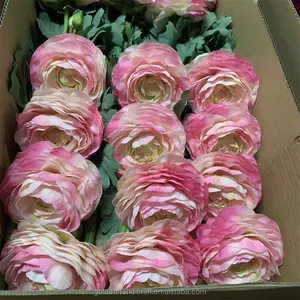 رنونكولوس زهور اصطناعية بلمسة حقيقية لحفلات الزفاف والديكور المنزلي بيع بالجملة زهور رانونكولوس