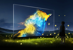 Pantalla de Proyección Holográfica Transparente 3D para Museo - Product Image 3
