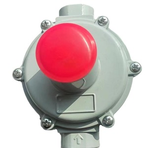 Indoor Pneumatic Aluminium Pipeline Natural Gas Reducer PN10/PN16 for Gas Boiler Community Gas Supply - Product Image 2