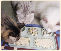 Tapis de léchage universel en silicone de qualité alimentaire pour l'entraînement des animaux de compagnie, à alimentation lente, multi-compartiments, antidérapant, rectangulaire, pour chats et chiens