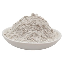 Poudre de zéolite haute performance pour la gestion des étangs et la santé aquacole – Minéraux naturels de clinoptilolite – Grand stock