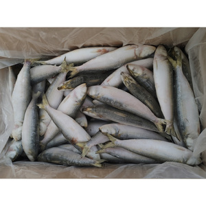<span class=keywords><strong>Sardinas</strong></span> redondas enteras Exportación al por mayor Sardina fresca congelada <span class=keywords><strong>Precio</strong></span> <span class=keywords><strong>de</strong></span> pescado - Product Image 6