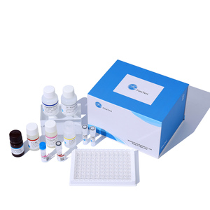 Sıçan Prl Prolactin ELISA seti bilimsel araştırma