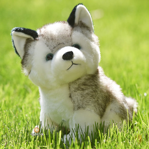Lindo Peluche <span class=keywords><strong>de</strong></span> <span class=keywords><strong>Husky</strong></span> Mini, Relleno <span class=keywords><strong>de</strong></span> Algodón PP, Juguete <span class=keywords><strong>de</strong></span> Peluche <span class=keywords><strong>de</strong></span> Perro <span class=keywords><strong>Siberiano</strong></span> para Niños, Regalo, Decoración - Product Image 2