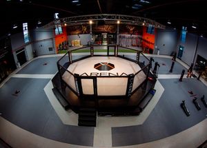 <span class=keywords><strong>Prix</strong></span> d'usine PVC Canvas <span class=keywords><strong>Cage</strong></span> International Standard MMA <span class=keywords><strong>UFC</strong></span> Octogone <span class=keywords><strong>Cage</strong></span> pour la compétition - Product Image 3