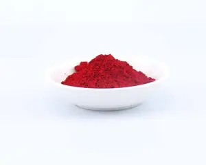 有机颜料红色170快速红色F3RK快速红色F5RK用于uv油墨丝网印刷油墨塑料糊剂着色