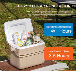 Sac isotherme promotionnel pas cher avec logo personnalisé, 6L, pour pique-nique en plein air, imperméable, écologique, en PP de qualité alimentaire, avec poignée facile à transporter, pour canettes - Product Image 5