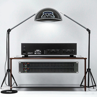 Égaliseur graphique audio passif double 31 bandes 231 avec bandes de fréquence de sortie de caisson de basses de 1/3 octaves en métal durable