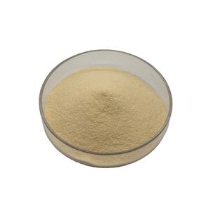 Fabricante Atacado Butterfly Extract Source 98% <span class=keywords><strong>Chrysin</strong></span> Alta Qualidade <span class=keywords><strong>Chrysin</strong></span> <span class=keywords><strong>Powder</strong></span> - Product Image 4