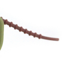 Distributeur de sacs à déjections pour animaux de compagnie Yommy Cactus, écologique, durable, classique, 10*8cm, support pour ramasse-crottes pour chiens et chats avec contrôle efficace des odeurs