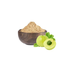 Polvo de Extracto de Fruta de Amla Ultrafino, Emblica Officinalis, Polvo Herbal Botánico Puro para Aplicaciones de Fabricación Industrial - Product Image 1