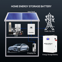 BASENGREEN Irak Liban Jordanie Sri Lanka Batterie de stockage solaire domestique LiFePO4 10kWh 51.2V 100Ah 200Ah Murale 6000 Cycles 10 Ans