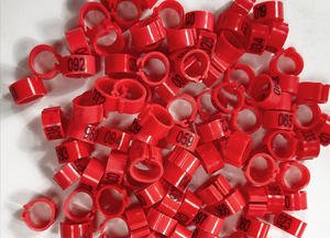 Plastic Vogelbeenbanden Goedkope Duivenbeenringen Kleurrijke 8Mm 10Mm Vogelduivenvoetring Met Serienummer - Product Image 3