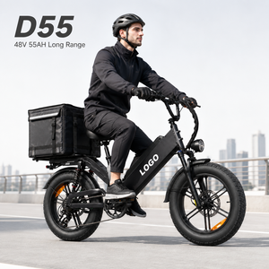 Bicicleta Eléctrica de Carga D55, Bicicleta Eléctrica de Reparto con 240 km de Autonomía, Motor de 750 W, Batería de 48 V y 55 Ah para Repartidores de Comida - Product Image 1