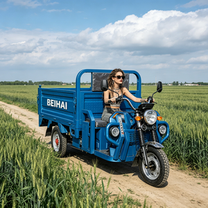 2026 BEIHAI Tricycle Supercar à Trois Roues Économique Mini 60V 2000W, Tricycle Passager à 3 Roues pour Adultes avec Moteur Haute Puissance, Livraison - Product Image 2