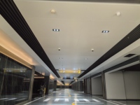 Plafond en aluminium linéaire à lattes métalliques pour couloirs publics