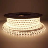 Pita LED Fleksibel Tahan Air IP67 Tegangan Tinggi AC110-220V Smd 2835 60LEDS/M RGB